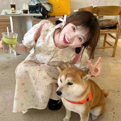 今天也无异常第2季