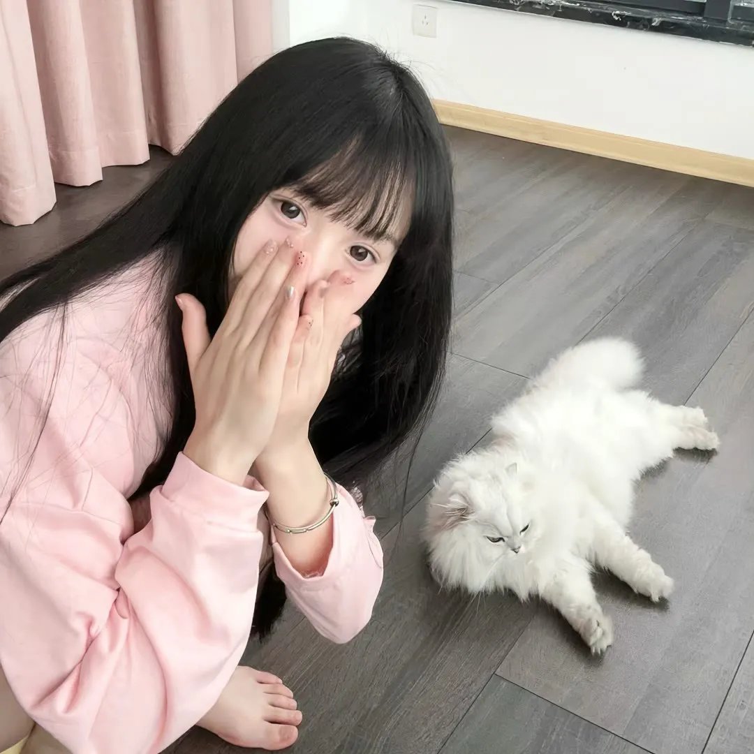 创造物